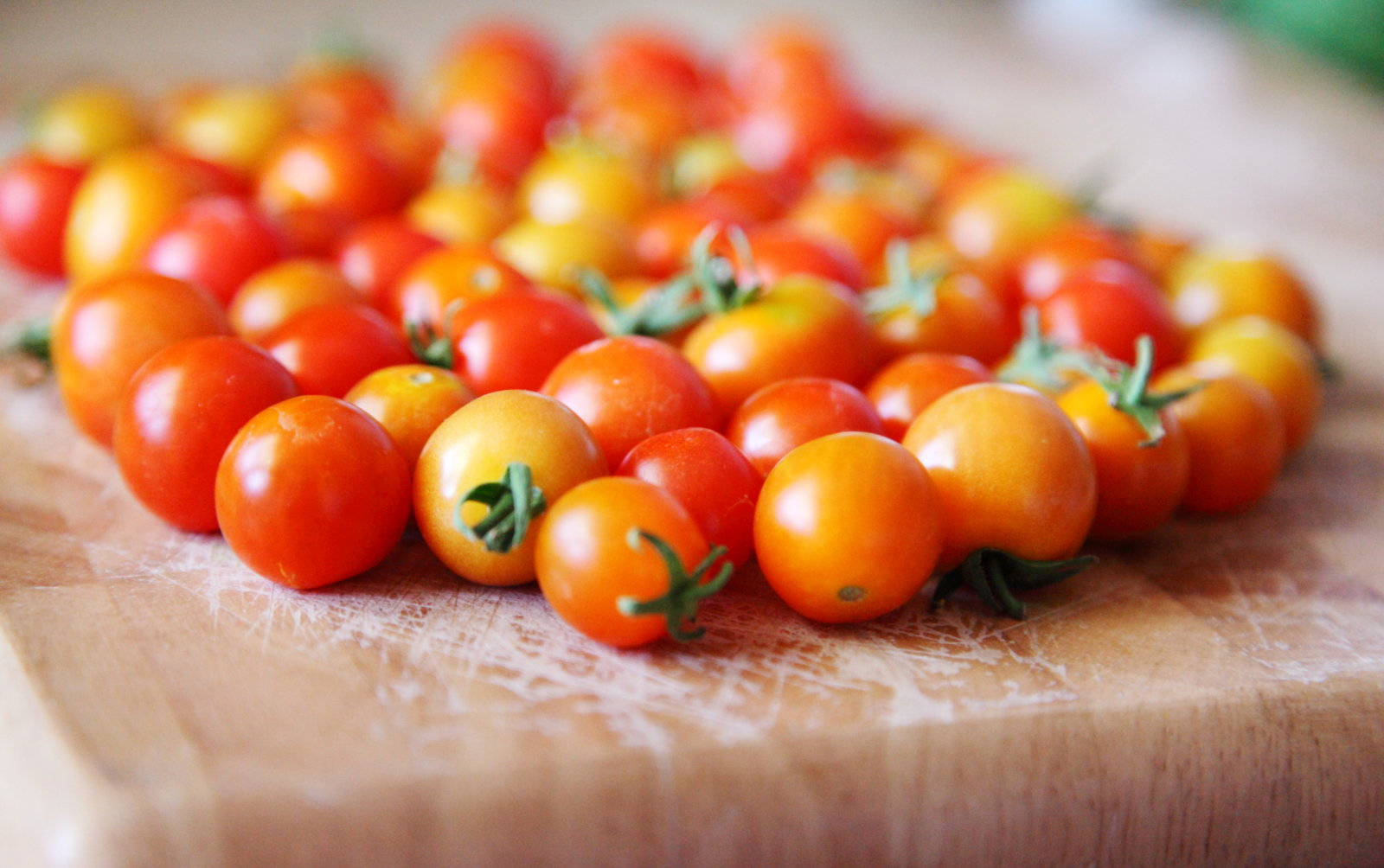 Vědci našli cestu, jak vrátit rajčatům jejich chuť