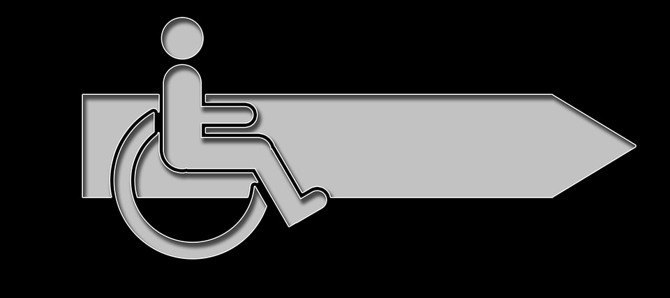Liga vozíčkářů je nezisková organizace. Její činnost je pro vozíčkáře nedostatečná.