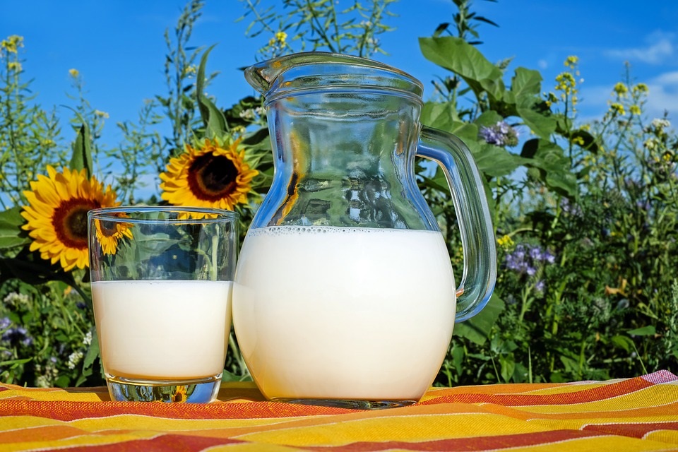 Rostlinná mléka – víme, jak je vybírat