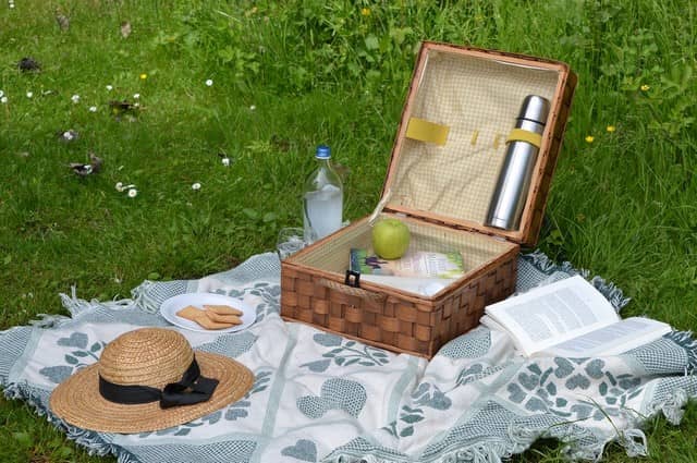 piknik v přírodě
